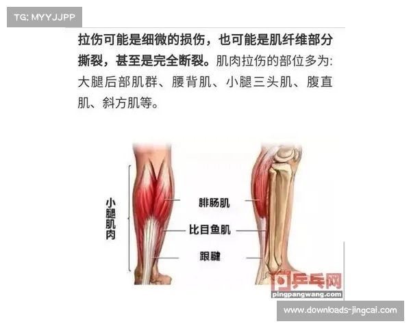 腘绳肌与股四头肌力量平衡对运动损伤预防的神经肌肉功能监测应用研究
